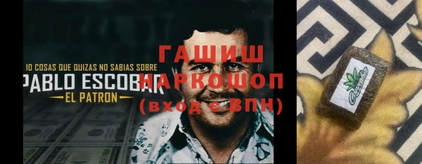 гашик Елизово