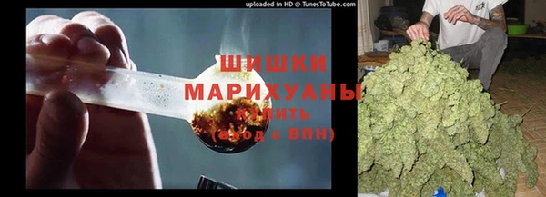 apvp Арсеньев