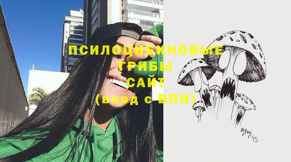 тгк Аркадак