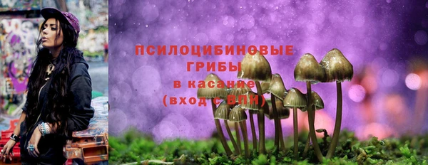 тгк Аркадак