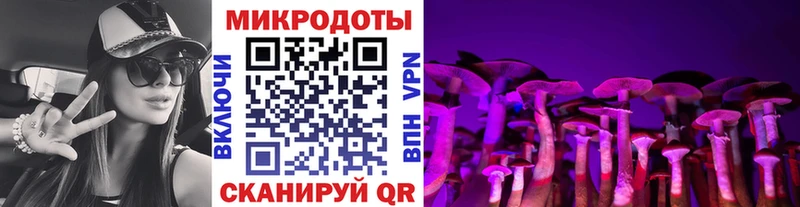 Псилоцибиновые грибы Psilocybe  купить наркотики сайты  Бавлы 
